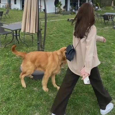 亲爱的爸爸